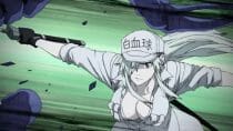 Hataraku Saibou BLACK